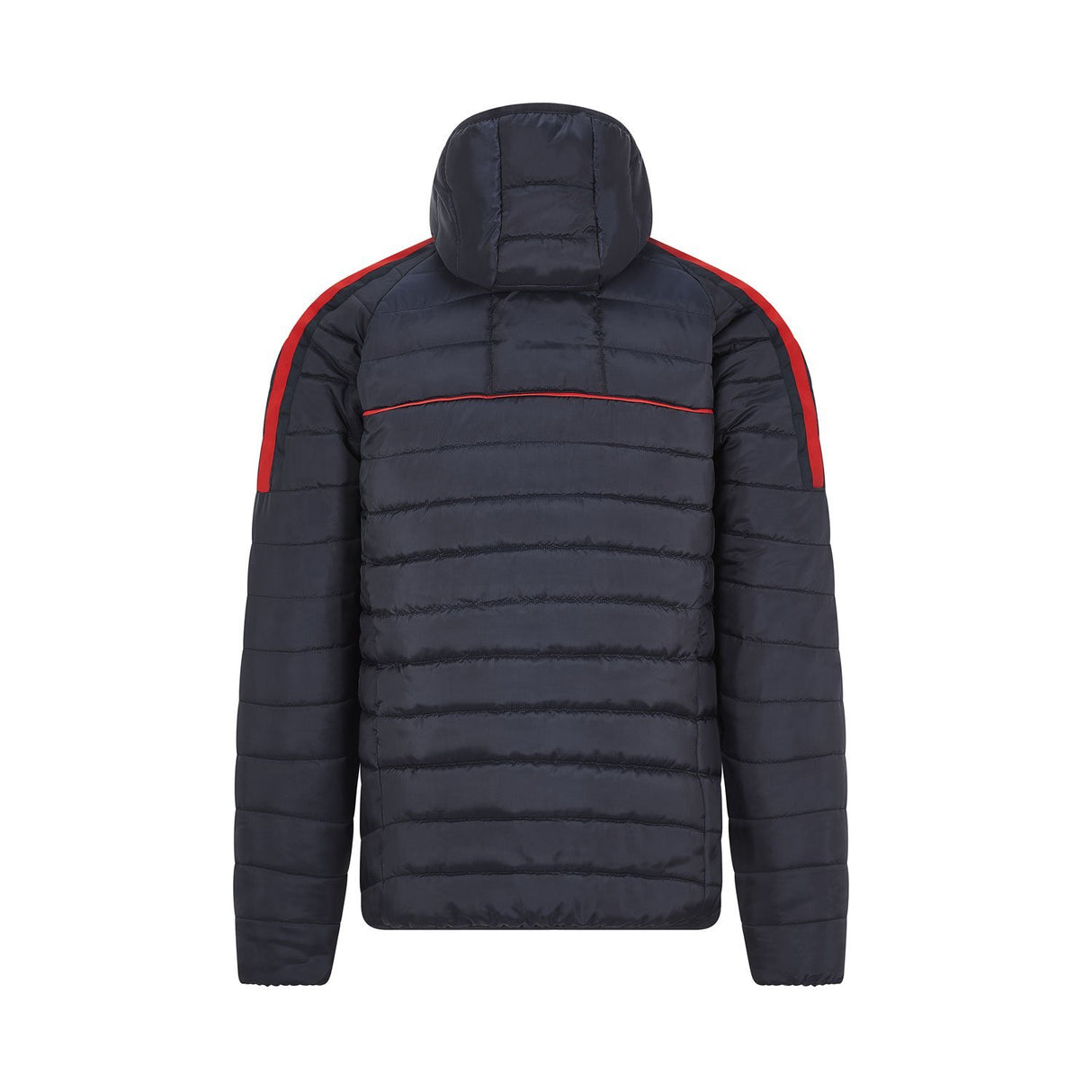 Мъжко зимно яке, ASTON MARTIN RED BULL RACING NAVY, от PUMA от Mtex Professional